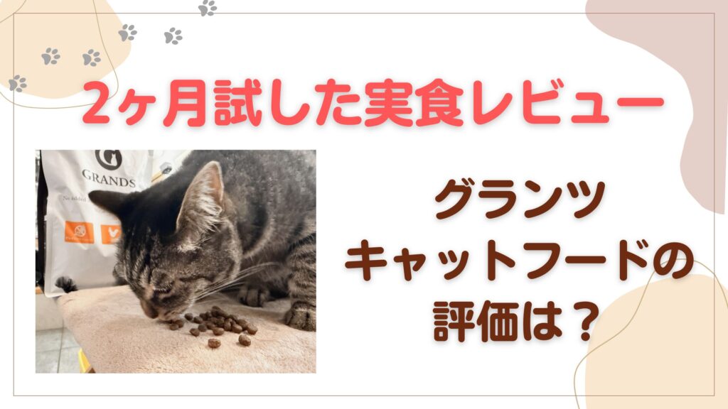 グランツキャットフードを2ヶ月試した実食レビュー