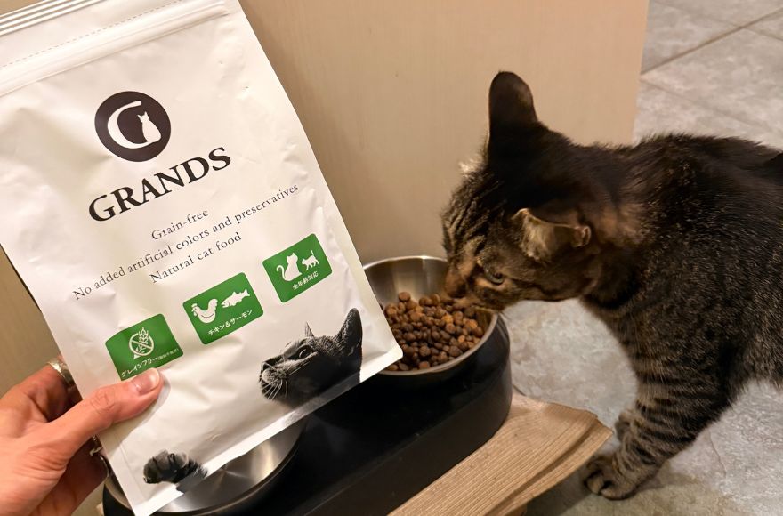 グランツキャットフード チキン＆サーモンのパッケージと匂いを嗅ぐ愛猫コテ