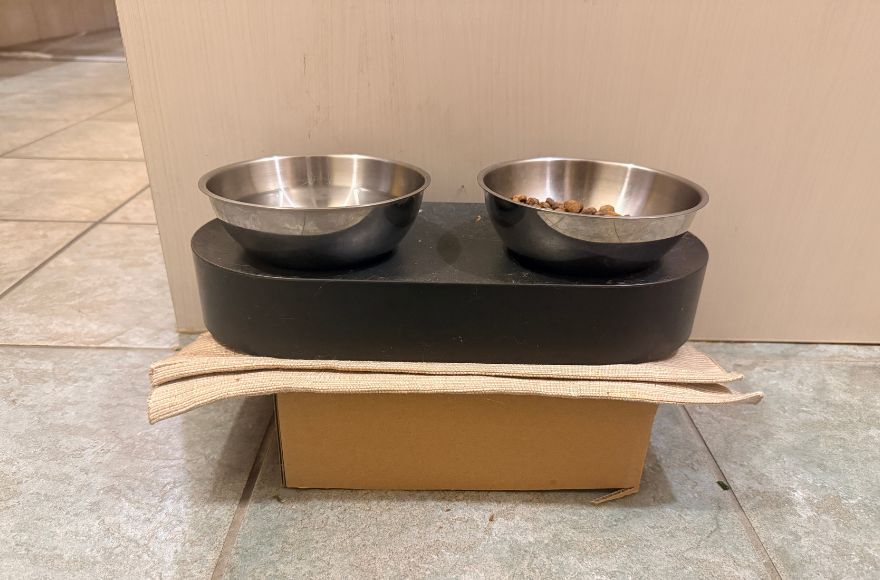 お皿の下に段ボールを入れて高さを調節した食器（猫の吐き戻し対策）