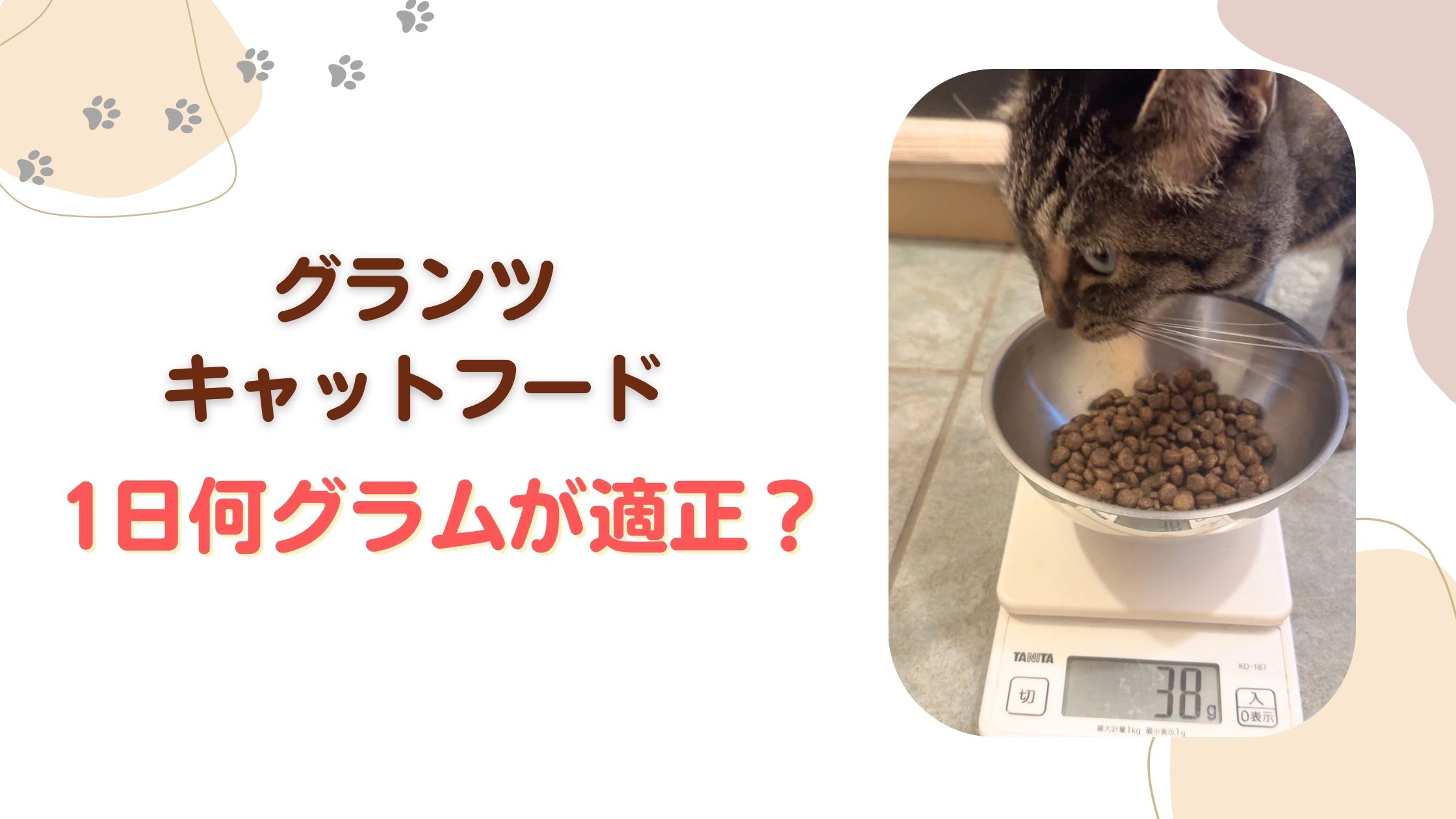 グランツキャットフード1日何グラムが適正?