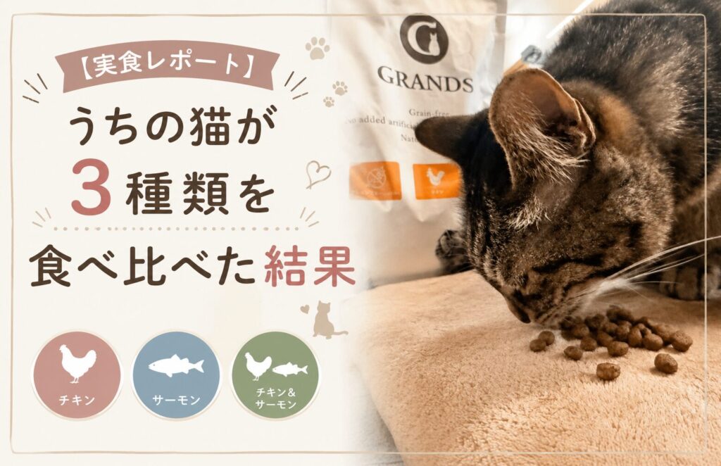 我が家の愛猫がグランツキャットフードの3種類の味を食べた結果をレポートします