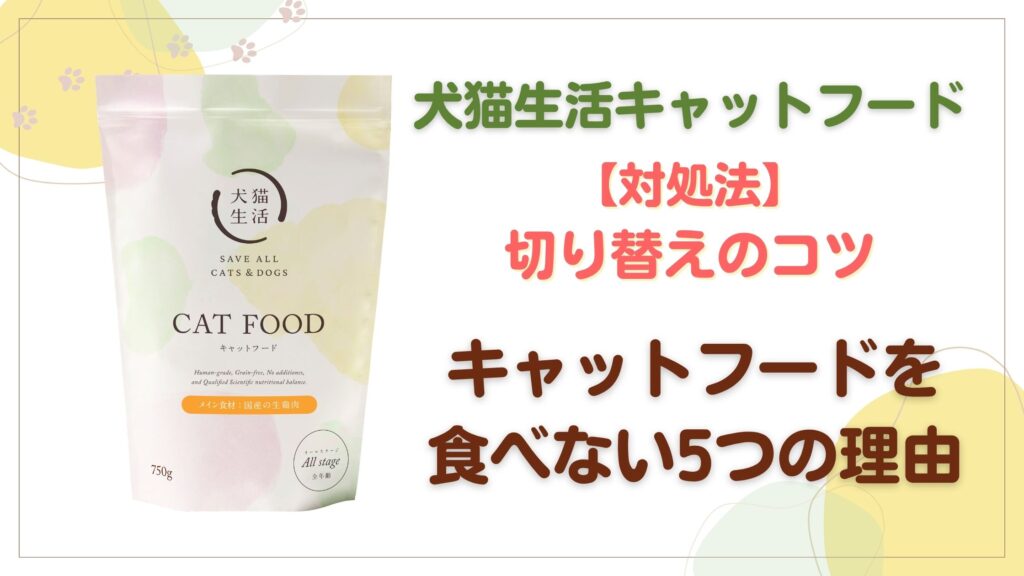 犬猫生活キャットフードを食べない5つの理由