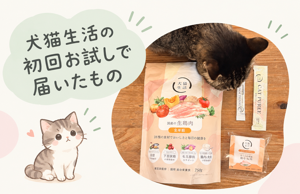 いぬねこせいかつの初回お試しで届いたもの